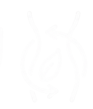 picture24