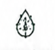 picture4